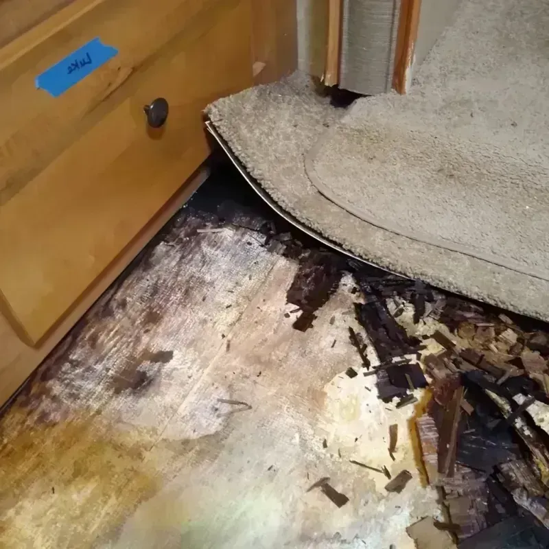 Best Wood Floor Water Damage Service in Kaysville, UT